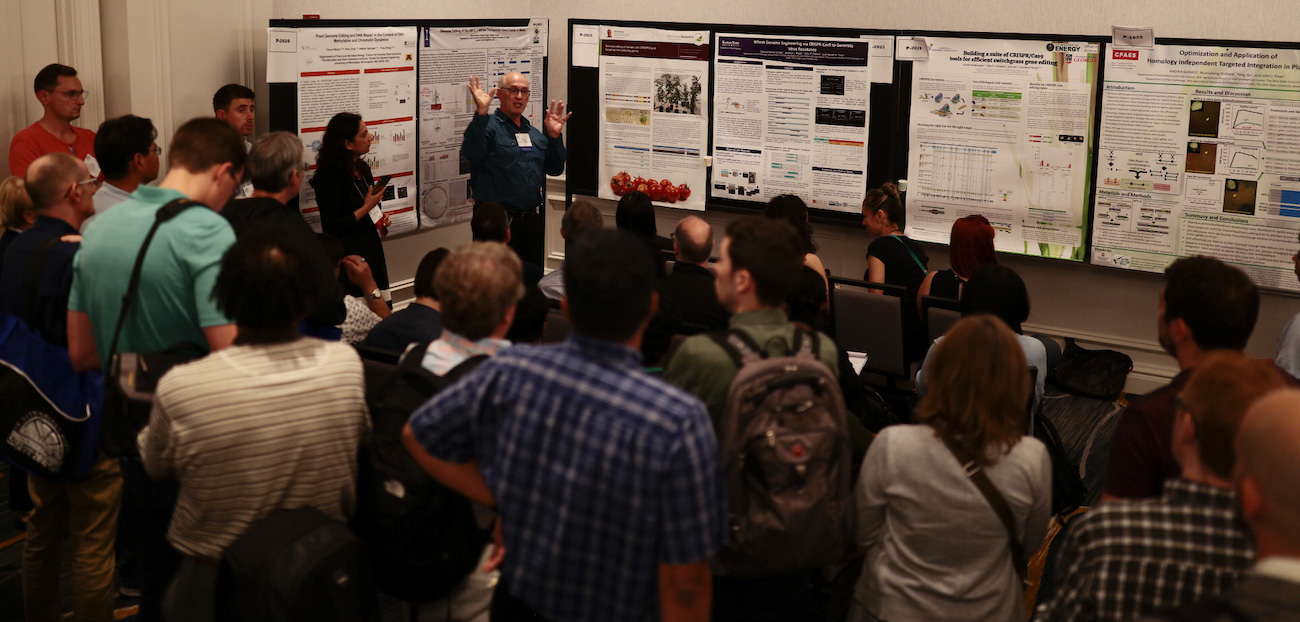 The interactive Poster sessions, where posters are presented as a talk to an audience, are a highlight of the SIVB meetings.